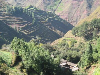 北京市房山区张房镇山区搬迁近况_罗店宝山寺地址_上海宝山区罗店镇