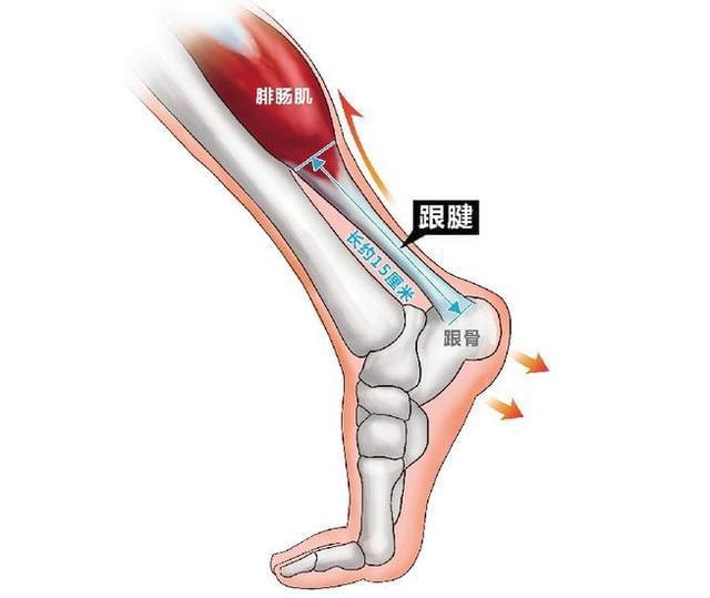 迈克尔·乔丹与迈克尔杰克逊_迈克尔乔丹肌肉照_迈克尔加杯特肌肉照